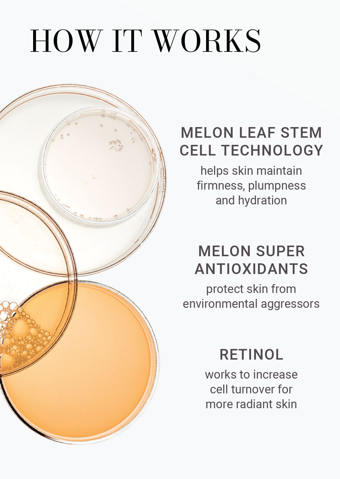 Anti-Aging Face & Neck Skincare System