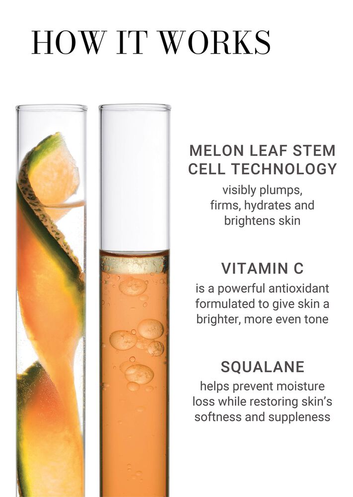 Vitamin C Brightening Duo